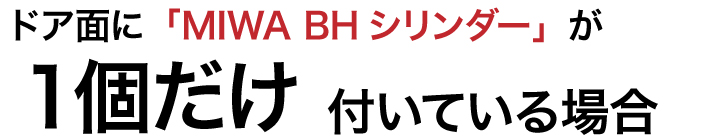 GOAL BH+BH