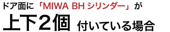 GOAL BH+BH