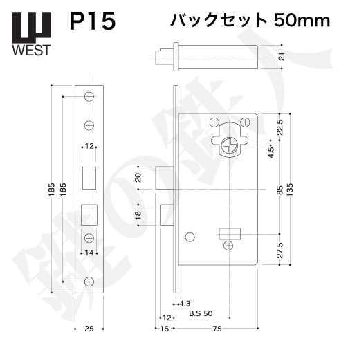 WEST 錠ケース P15