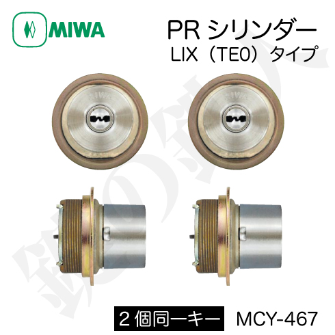 MIWA PESP GAS3