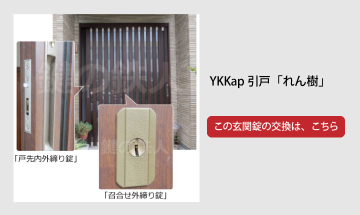 YKKap れん樹