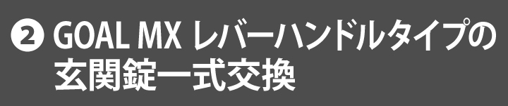 GOAL MX レバーハンドル交換