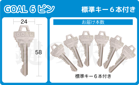 GOAL 6ピン