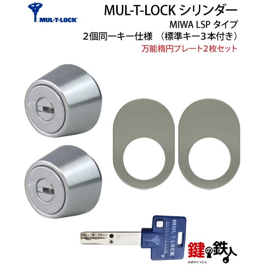 八万ロックキー　シリンダー100個とカギ2本　中古品 MUL-T-LOCK(マルチロック)LSP用 鍵(カギ) 取替え 交換シリンダー・2個