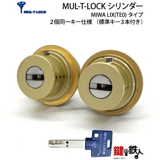 ニジイロ 新面 リムリングセット 新商品 | ヴィレットパーツ・スイングアーム Wheelie ウィリー